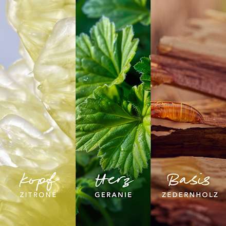 Inspired Nature for him Eau de Parfum Mexx