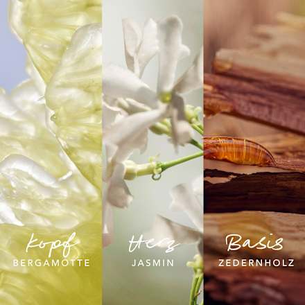 Inspired Nature Körperspray Body Mist Mexx