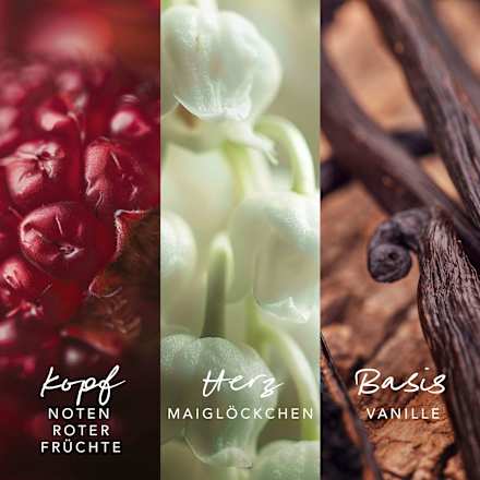  Inspired Warmth Körperspray Body Mist Mexx