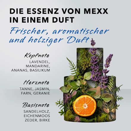 Man Eau de Toilette Mexx