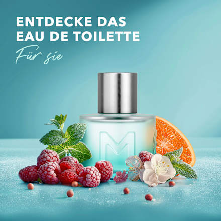 Eau de Toilette Ice Touch Man Mexx