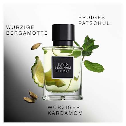 Instinct Eau de Parfum DAVID BECKHAM