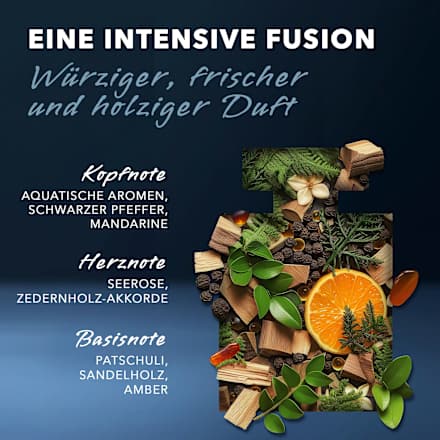 Black Man Eau de Toilette  Mexx