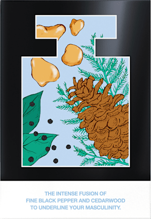 Black Man Eau de Toilette Mexx