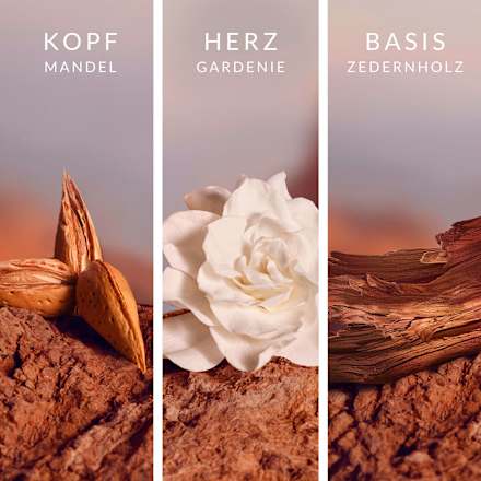 Eau de Parfum Signature Donna LeGer