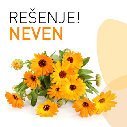 CALENDULA hidratantna krema za lice AFRODITA