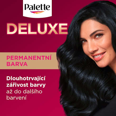 barva na vlasy Modročerný 1-1 Palette DELUXE