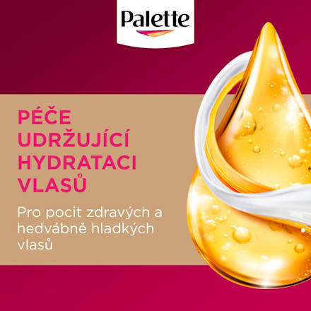 barva na vlasy Modročerný 1-1 Palette DELUXE