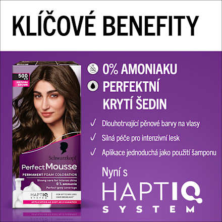 barva na vlasy Černohnědý 300 Schwarzkopf Perfect Mousse