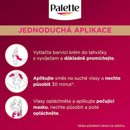 barva na vlasy Modročerný 1-1 Palette DELUXE