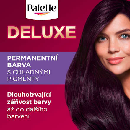 barva na vlasy Tmavě fialový 4-99 Palette DELUXE