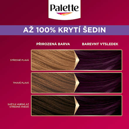 barva na vlasy Tmavě fialový 4-99 Palette DELUXE