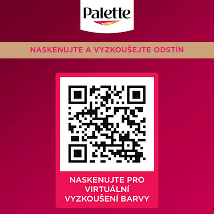barva na vlasy Čokoládový 3-65 Palette DELUXE