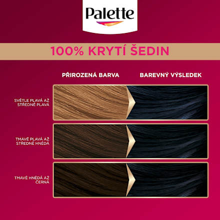 barva na vlasy Modročerný 1-1 Palette DELUXE
