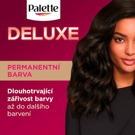 barva na vlasy Tmavě hnědý 3-0 Palette DELUXE