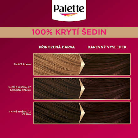 barva na vlasy Čokoládový 3-65 Palette DELUXE