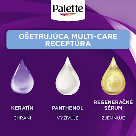 Farba na vlasy - 10-1 ľadová striebroplavá Palette INTENSIVE COLOR CREME