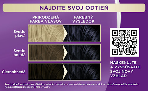 Farba na vlasy - 1-1 modročierna Palette INTENSIVE COLOR CREME
