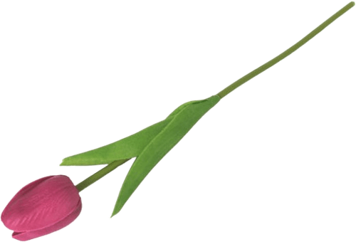 Tulipan – ružičasti Ira Commerce