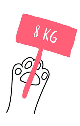 Katzenstreu mit Babypuderduft  Primox