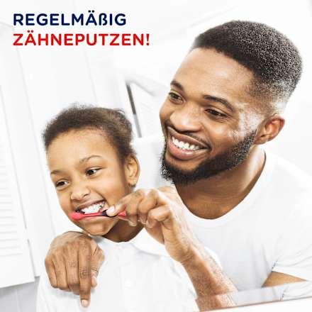 Zahnbürste Kinder Junior ab 6 Jahren Signal