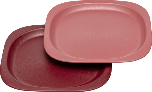 Teller Eat Green rot Nip