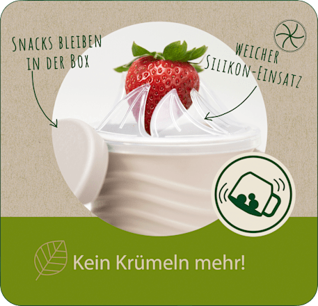 Snackbox eat green 2in1 grau Nip