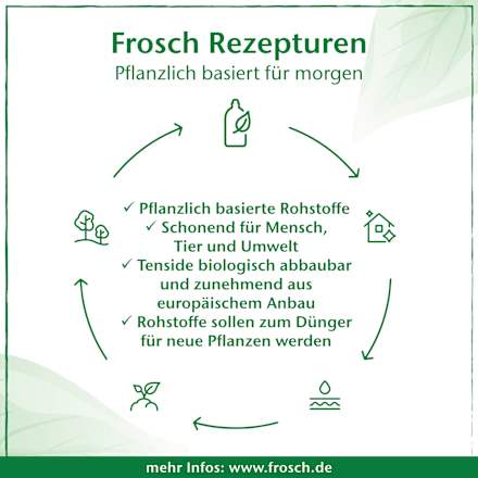 WC-Reiniger Himbeer-Essig Frosch
