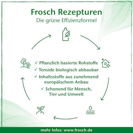 Allzweckreiniger Multiflächen Orange Frosch