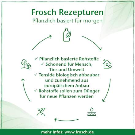 Flüssigseife Pfirsichblüte Nachfüllpack Frosch
