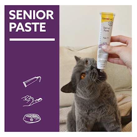 Nahrungsergänzung Katze, Senior Paste GimCat