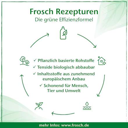 Bad-Reiniger Citrus Nachfüllpack Frosch