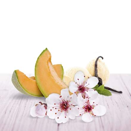 Lufterfrischer Freshmatic Sommervergnügen Nachfüllpack (2x250 ml) AirWick