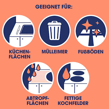 Küchenreiniger Sagrotan