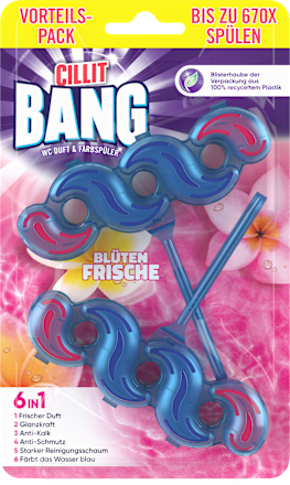 WC Stein 6in1 Duft & Farbspüler Blüten Frische CILLIT BANG