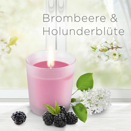 Duftkerze im Glas Brombeere & Holunderblüte (2x105 g) AirWick