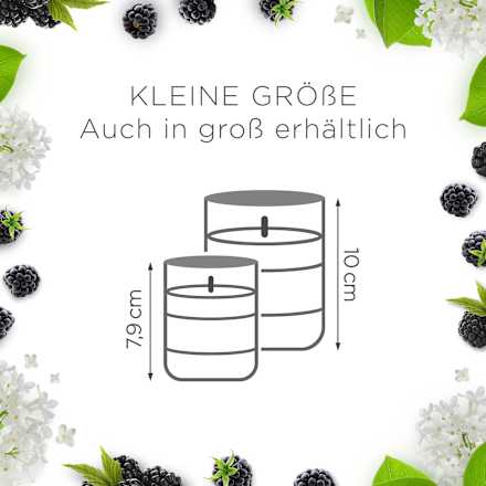 Duftkerze im Glas Brombeere & Holunderblüte (2x105 g) AIR WICK