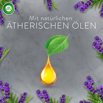 Lufterfrischer Aroma-Öl Flakon Nachfüller Entspannender Lavendel AIR WICK