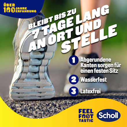 Blasenpfaster Scholl