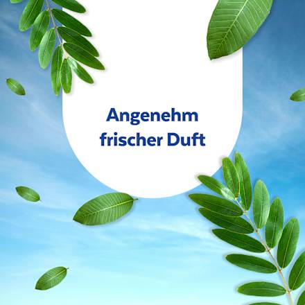 Desinfektion Reiniger Sagrotan