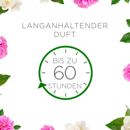 Duftkerze im Glas Beruhigende Wildrose & Jasmin 310 g AirWick