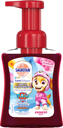 Schaumseife Samt Sagrotan