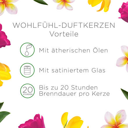 Duftkerze im Glas Blumenwiese 105g AirWick