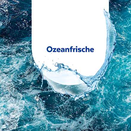 WC-Reinigungstücher Desinfektion Sagrotan