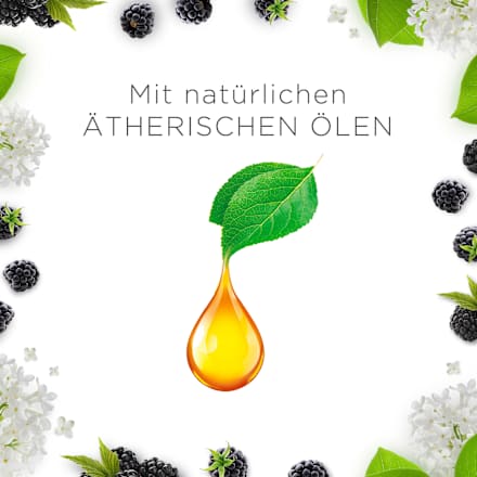 Duftkerze im Glas Brombeere & Holunderblüte (2x105 g) AIR WICK