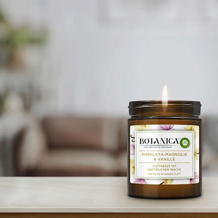 Duftkerze im Glas Himalaya-Magnolie & Vanille 205 g BOTANICA BY AIR WICK