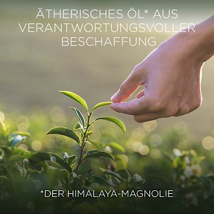 Duftkerze im Glas Himalaya-Magnolie & Vanille 205 g BOTANICA BY AIR WICK