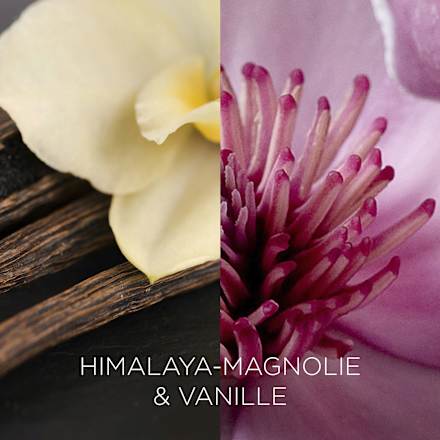 Duftkerze im Glas Himalaya-Magnolie & Vanille 205 g BOTANICA BY AIR WICK