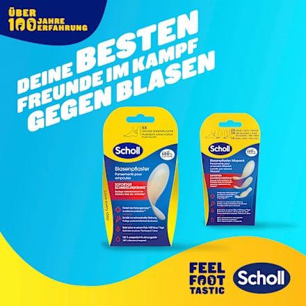 Blasenpfaster Scholl