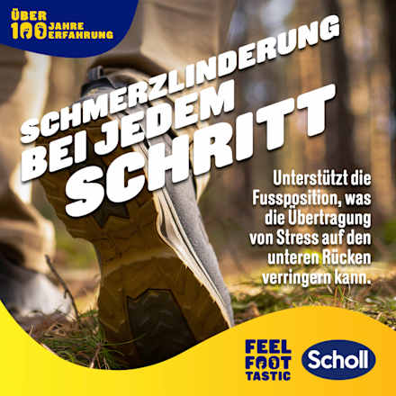 Einlegesohlen In-Balance, Gr. 37-39,5 (1 Paar) Scholl